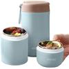 Generic Contenitore per alimenti isolato a tenuta stagna da 15 once, thermos in acciaio inossidabile, isolamento sottovuoto, con cucchiaio, per scuola, lavoro, picnic (blu, doppio strato)