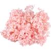 Ciieeo Petalo Essiccato Di Ortensia Naturali 20G Per Decorazioni Nail Art E Fai Da Te Rosa Naturale Per Compleanni E Matrimoni