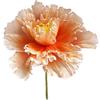 MINGZHE Peonie Finte in Seta con Steli, Peonie Artificiali Bouquet di Fiori in Seta Peonia Artificiale per Matrimonio, Casa, Festa, Ristorante(arancia)