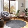 Carpetsale24 Tappeto Rotondo per Soggiorno 160 cm Grigio Lavabile, Pelo Corto, Design Moderno, Monocromatico - Tappeto Lavabile Antiscivolo Extra Morbido e Fluffy per Camera da Letto e Cucina