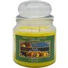 NATURE CANDLE by Bonturi Casa NATURE CANDLE candela profumata 100% cera vegetale - Giara 380g Sicily
