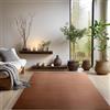 SIMPEX Tappeto Lavabile a Pelo Corto 120x170 cm Marrone Moderno
