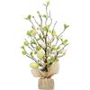 SPORTARC Albero di uova di Pasqua, albero decorativo a LED luminoso, uovo di Pasqua per interni, decorazione da tavolo per soggiorno, camera da letto (B)
