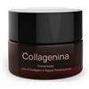 Labo International LABO Collagenina Crema Notte 6 Collageni Grado 1 - 50 Ml