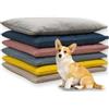 Waigg Kii Letto per cani e gatti, lavabile, divano letto per interni, lussuoso, anti ansia, sfoderabile, con cerniera, morbido materasso per animali domestici calmante (beige, M, 45 x 60 cm)