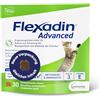 Flexadin Advanced Chat - Confezione da 30 crocchette da masticare