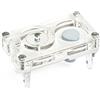AntHouse - Formicaio Acrilico Hori-Acri 9x5x1,3 cm | Sistema di umidità Tipo Fungo | Formiche Gratis Incluse | Trasparente