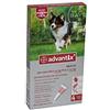 Bayer Advantix, Spot per Cani 10-25 kg, 4 Pipette X 2.5 ml