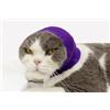 DDFS Protezione per orecchie da gatto, antigraffio, per la cura delle ferite, viola, S