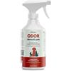 Dermazoo Spray Rimuovi Odori Urina Gatto e Cane, Detergente Enzimatico Elimina Odore e Macchie da Tessuti e Divani, Antiodore Pipi - Spray da 750 ml