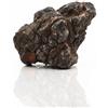 Amtra Roccia Pagoda - Decorazione Naturale per acquari Wild, Calcarea, ideale per giardini Zen, peso 2-3,5 kg