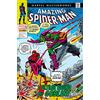 MARVEL COMICS The amazing Spider-Man (Vol. 13)