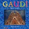NUINUI Gaudí. Arte e genio. Libro pop-up
