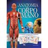 BIS L'anatomia del corpo umano