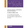 FrancoAngeli Il valore della cura. Un modello psicosociale di Value-Based Healthcare per ripensare le organizzazioni sanitarie