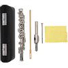 Dilwe Strumento flauto staccabile,Piccolo foro placcato in argento 16 fori Con cacciavite Set strumenti per la pulizia della scatola in pelle PU(Argento)