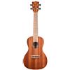 KALA KA KA C - Ukulele da concerto in mogano, con custodia