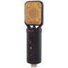 PROEL EIKON CM14USB - Microfono Professionale a Condensatore con capsula dorata e uscite USB e XLR