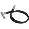 HangTon Cavo LCD/EVF a 16 pin per fotocamera DSMC1 DSMC2 EVF (60 cm, angolo retto a diritto)