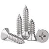 JINYONGFA M1M1.4M1.5M1.7M2-M2.6, micro viti, viti autofilettanti a testa svasata piana in acciaio inossidabile 304-M2.6 * 12 (100 compresse)