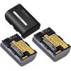 LOKLNEYK Batteria Da 2850 MAh, Compatibile Con Canon, For LP-E6P EOS R5 MarkII 5D Mark III(3xBattery)