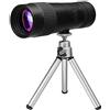 ZXIANGZ Telescopio Binocolo Telescopio monoculare 10-30x40 Telescopio a tubo singolo Mini zoom portatile Monoculare Telescopio a tubo singolo per esterni diurno per viaggi all'aperto Viaggi all'aperto