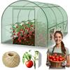 Plonos Serra a tunnel con telaio in acciaio Set con supporto per piante, 2 x 3 x 2 m, 6 m2, verde