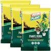 AGRICOLA GIRALDI 30 Litri di Terriccio Professionale per Piante Verdi/Tropicali - Con Pomice, Torba Nera, Fibra di Cocco ed EcoFibra - Drenaggio Ottimale, Concime NPK + Microelementi - Ideale per Rinvaso e Crescita
