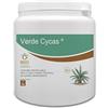 Bioges Verde Cycas 1 kg concime per Cycas ad Azione rinverdente