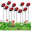 Generic per piante a forma di coccinella, 10 pezzi decorativi da giardino, incantevoli plettri per piante da esterno, simpatici cartelli per aiuole, decorazione da giardino durevole per casa e patio
