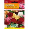 Sicignano Casalinghi Ingrosso Casalinghi Sicignano | Semi Garofano dei Fioristi in Miscuglio Mix, Fiori Doppi e Profumati, Busta Extra - 6 Confezioni da 0.4g, Pianta da Potatura, Adatta a Pieno Sole