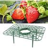 BFYDOAA Supporti per Fragole in Plastica da 20 Confezioni Scaffali per Coltivazione di Fragole Quadrati Supporti per Vassoi a Griglia per Fragole Sopraelevati per Piantare Fragole