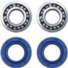 GeHrTxHD Kit guarnizioni Cuscinetto Albero Motore for MS180 MS170 MS 180 170 018 017 Motosega 9503 003 0311/9638 003 1581