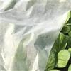 acquaverde Telo di Protezione Antigelo e da Sbalzi Termici per Piante, Fiori e Colture, in Tessuto TNT Leggero 17 gr/mq, in Rotolo, Bianco (2x5 mt)