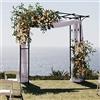 RELAX4LIFE Arco per Rampicanti in Metallo, Traliccio per Rampicanti, Struttura Robusta, Supporto per Rose e Viti, Arco da Giardino per Matrimoni Feste e Ingresso Cortile (Nero, 200x52x206cm)