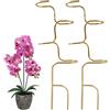 Generico Tutor di Supporto per Piante | 2 Pezzi Sostegni per Rampicanti da Vaso - Supporto per Piante da Ambiente Interno,per Monstera, Orchidea, Peonia, Pothos, Terreno, Prato e