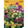 Sementi Dotto Semi di Bella di Notte in Mix - h cm 60