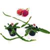 POWERS TO FLOWERS - PITAYA A POLPA ROSSA, FRUTTO DEL DRAGO, HYLOCEREUS UNDULATUS, DRAGON FRUIT, 2 PIANTE, piante vere