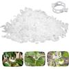 FZKun Clip per Piante in Plastica Sicura - Clip per Tralicci da Giardino per Piante Rampicanti Clip di Supporto per Steli per Crescere Diritti Adatto A Viti Pomodori Fiori UVA (100pz,Bianco)