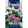 Franchi Sementi Semi Vinca Nana Rosea Multicolor Fiori Franchi Sementi 0,5g