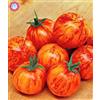 Generic Fresh 200 pezzi di semi di pomodoro gigante gigante per piantare rosso