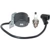 ICOOYO Bobina di accensione per Dolmar MS-340 MS-341 MS-400 MS-3300 MS-3310 MS-3311 MS-4000 MS-4010 MS-4011 MS-4500 MS-4510 MS-4511