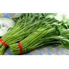 Generic CONFEZIONI ORIGINALI 20 semi SPINACI acque di vegetazione kangkong PLUS regalo Trasporto libero * SEMI RAU MUONG ONG Choy