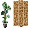 Nils der Pflanzenfreund® Tutore in muschio 53 cm (XL) 1 Pezzo, Trasparente - Moss Pole estensibile per Monstera e piante rampicanti, supporto per piante da interno