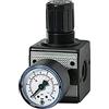 RIEGLER 100425-R 33-10 - Regolatore di pressione multifix, con manometro, BG 3, G 1/2, 0,5-10 bar, 1 pezzo