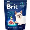Brit Premium - Cibo Secco per Gatti Sensibili, Agnello, 300 g | Alimento ipoallergenico all'agnello per gatti sensibili: supporta vie urinarie, equilibrio del pH, digestione, pelle e pelo.