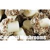 Sweet and Nostalgic Funghi di cocco 300gms
