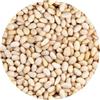 Fan Sapori Pinoli Sgusciati - 1 kg