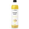 GymBeam Lo Shot di Zenzero - Succo Naturale Con Miele, Acqua di Cocco e Limone - Promuove Salute e Vitalità - Rinfrescante, Perfetto da Solo o Diluito (500 ml)