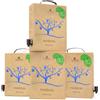 Torri Cantine Confezione Risparmio 4x Bag in Box 3L - Pecorino o Passerina - 12L di Vino Bianco (Passerina)